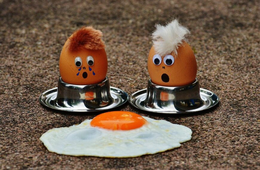 eggs