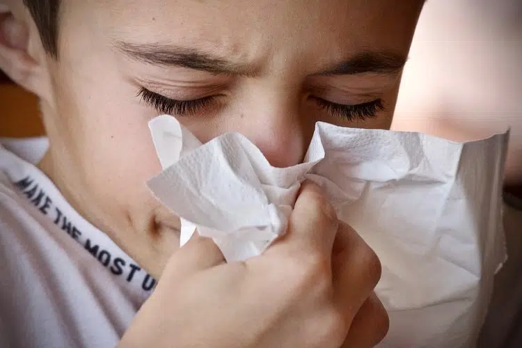 Boy sneezes into tissue