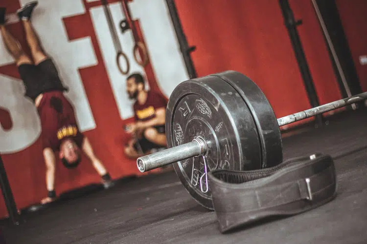 Did You Know That Free Weights Have 362 Times More Bacteria Than A Toilet Seat?