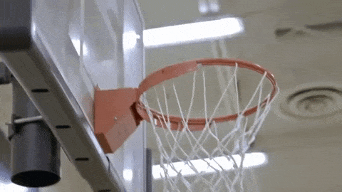 Basketballhitsnet