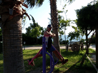Photo competition celebrates all kinds of fitness and movement 7 49 image asset