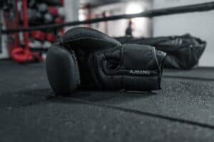 ajboxinggloves