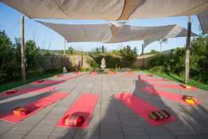 Yogashala2