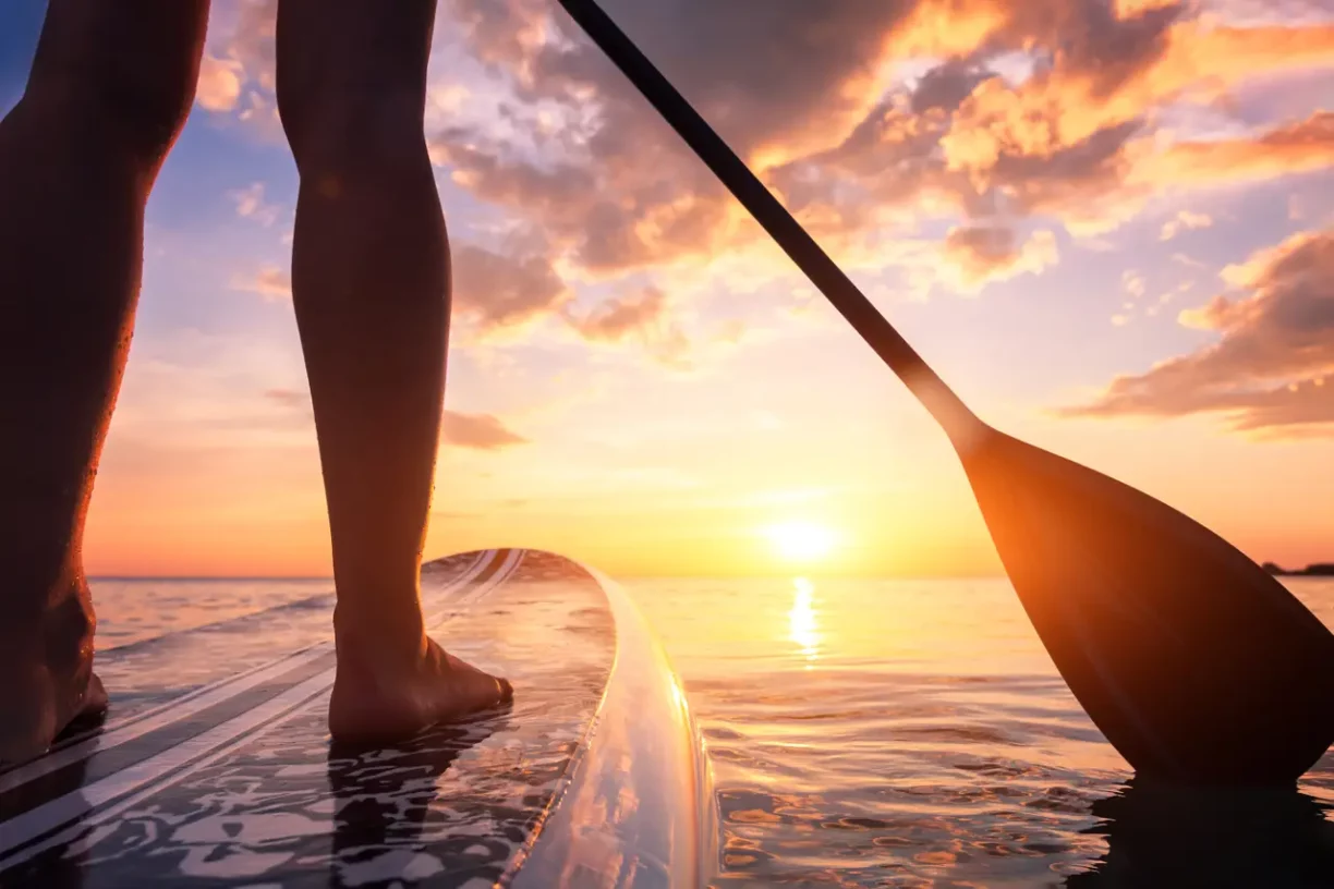 paddleboard on water in sunset