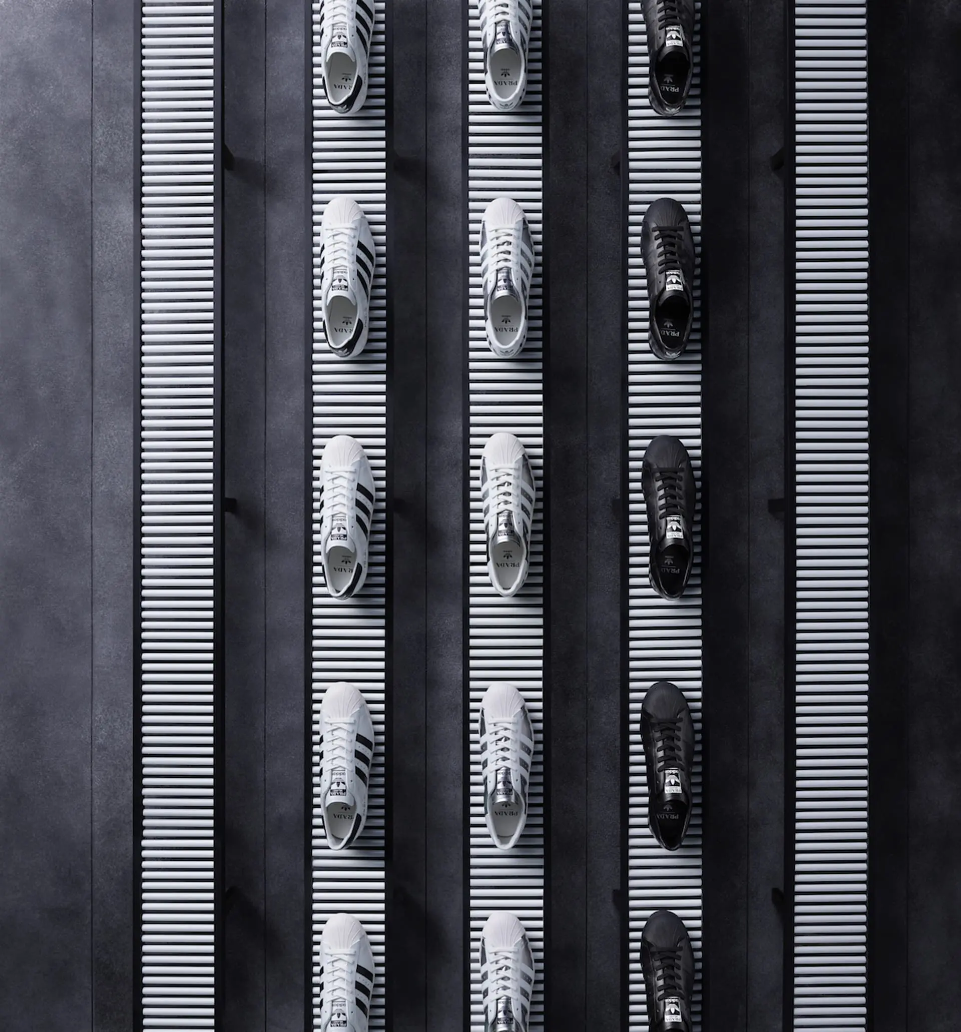 Prada superstar for adidas unveiled5