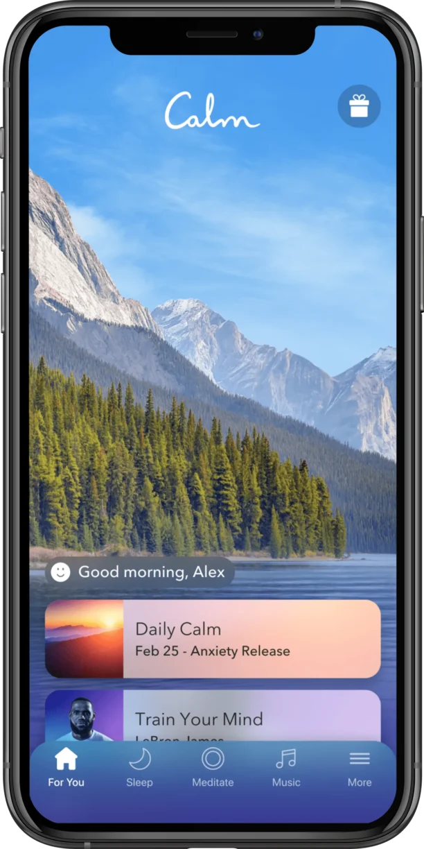 iPhone Calm Home