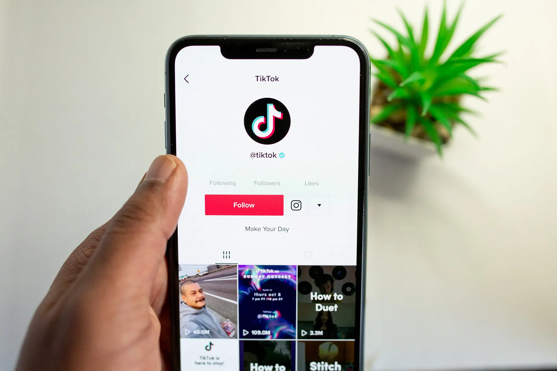 Tiktok phone app