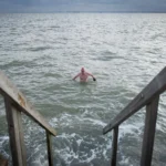 wild swimming