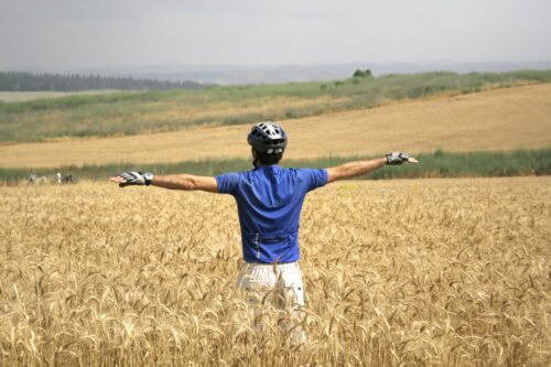 cyclist in field of hay