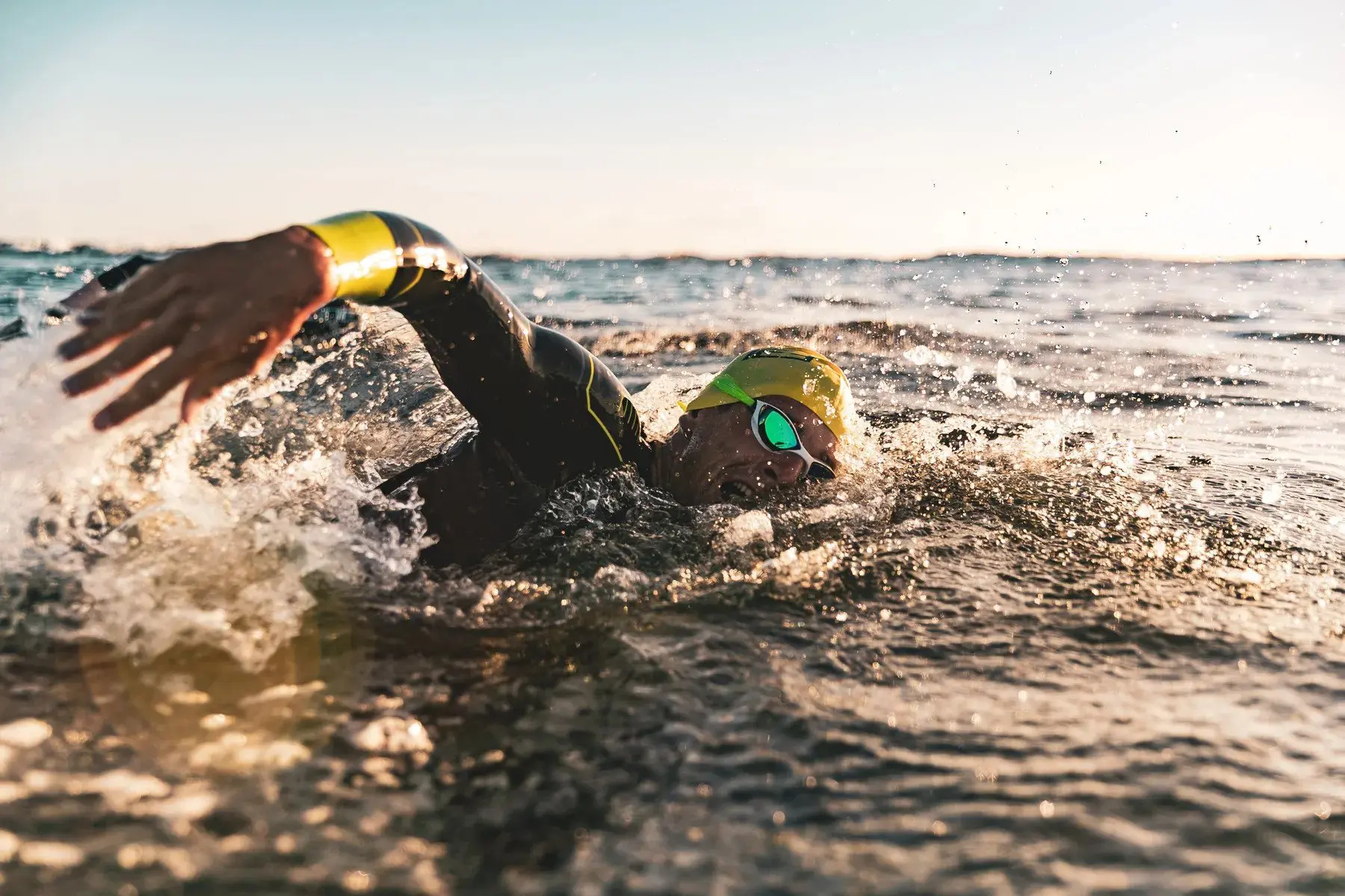 Sea swimmer