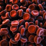 red blood cells scaled