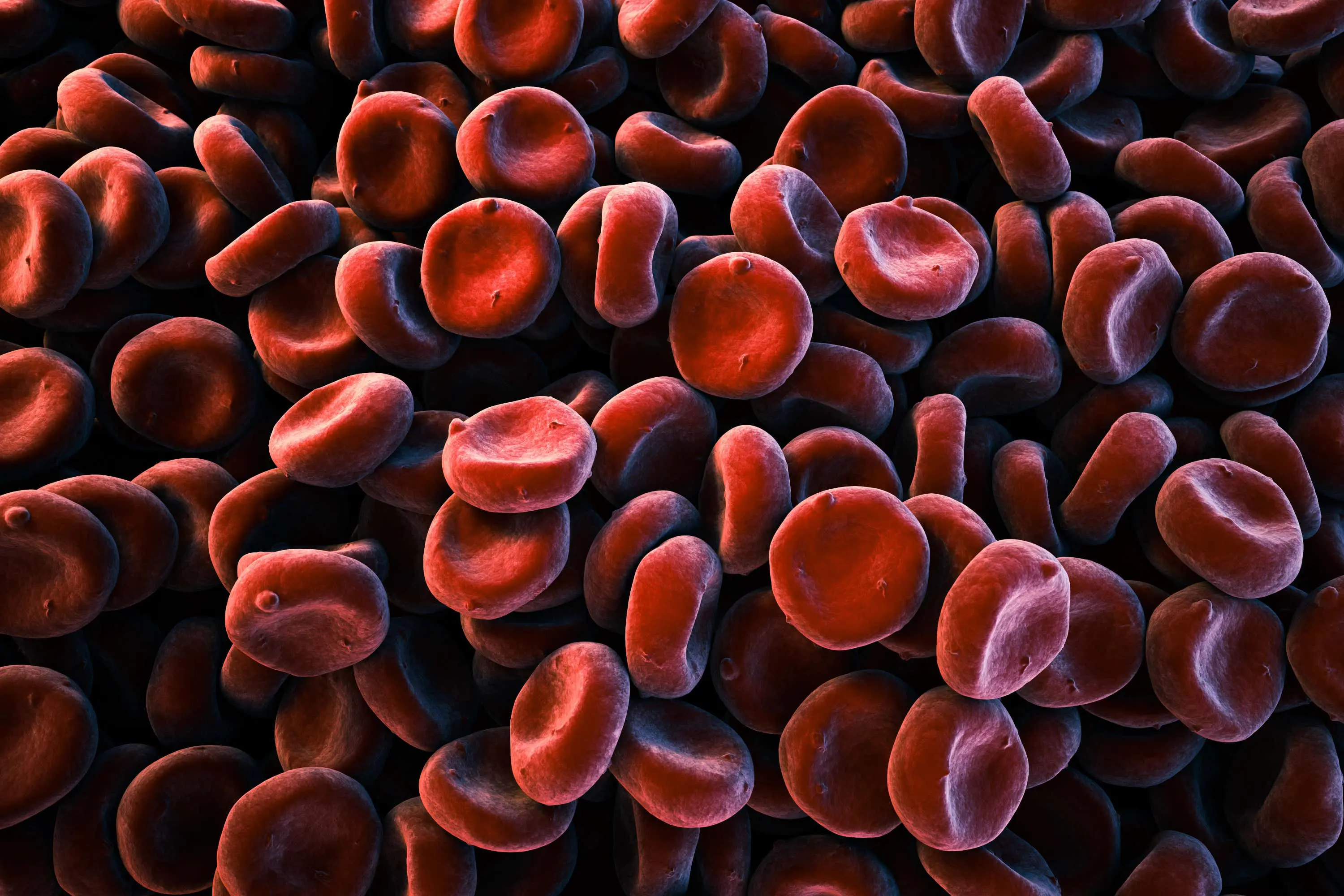 Red blood cells scaled