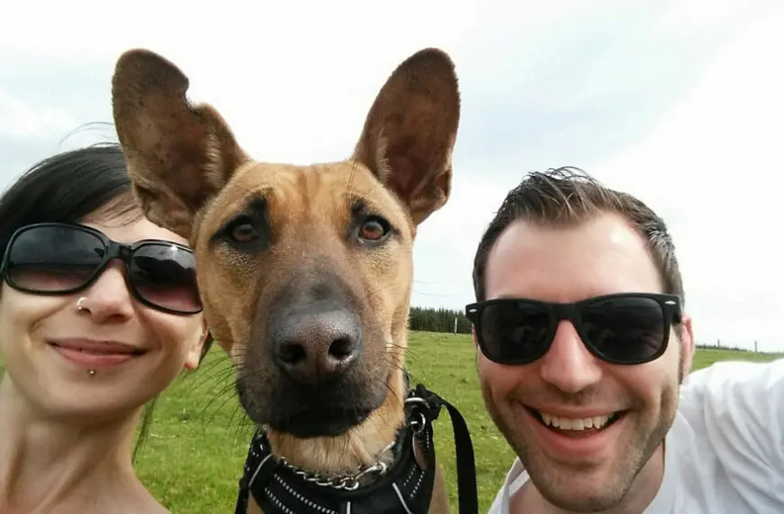 couple take selfie with their dog