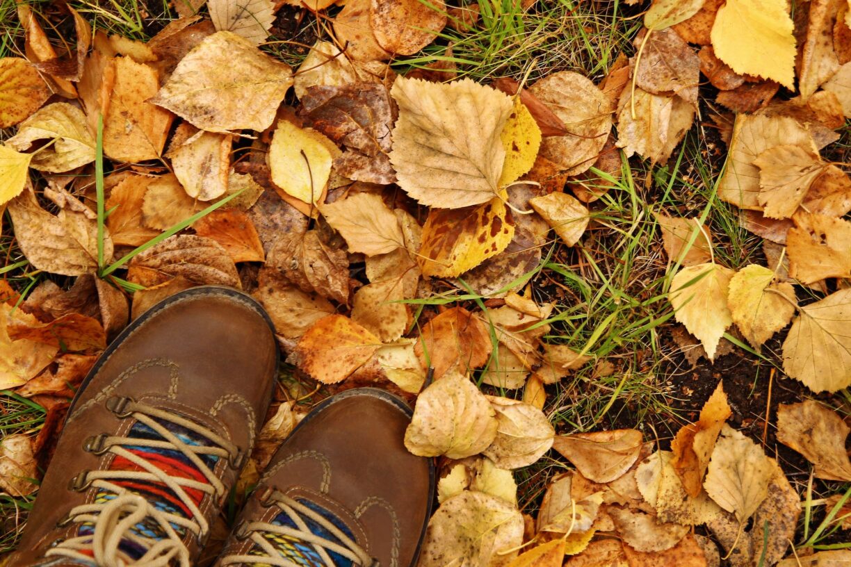 feet in autumn leaves