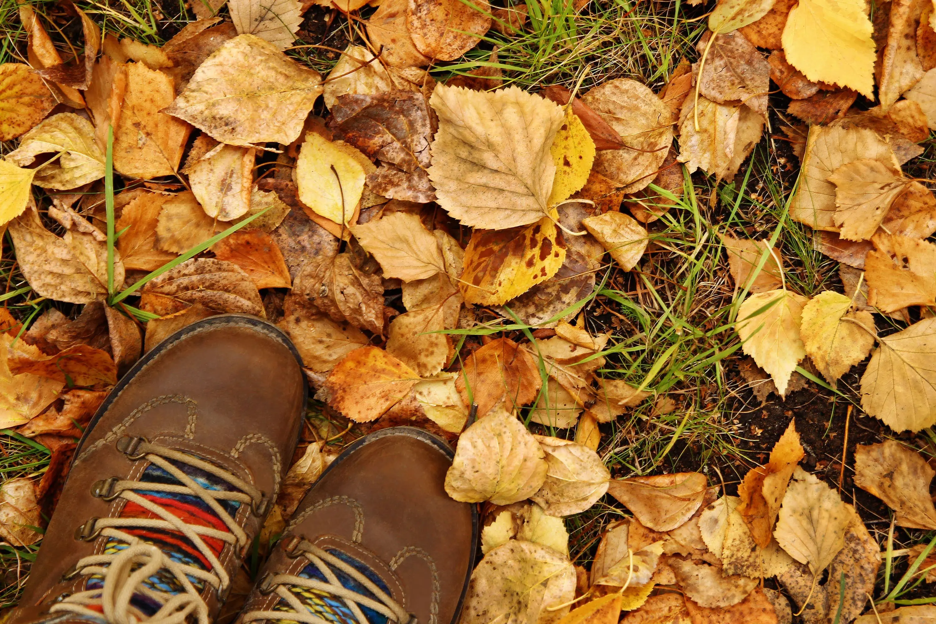 Feet in autumn leaves scaled