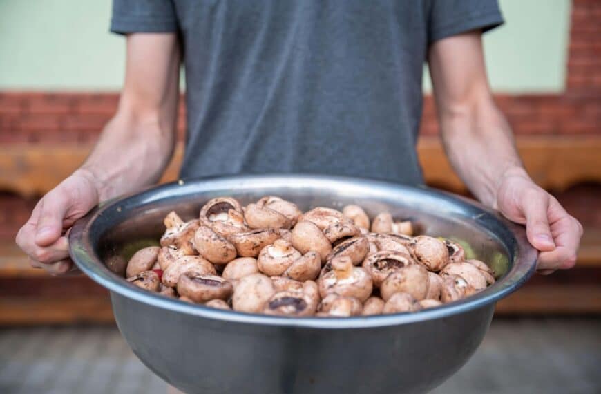 person holds bowl of mushrooms