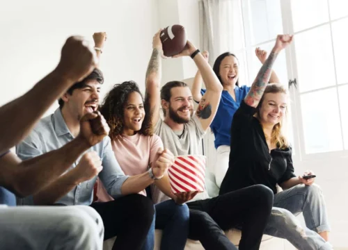 fans celebrate during game