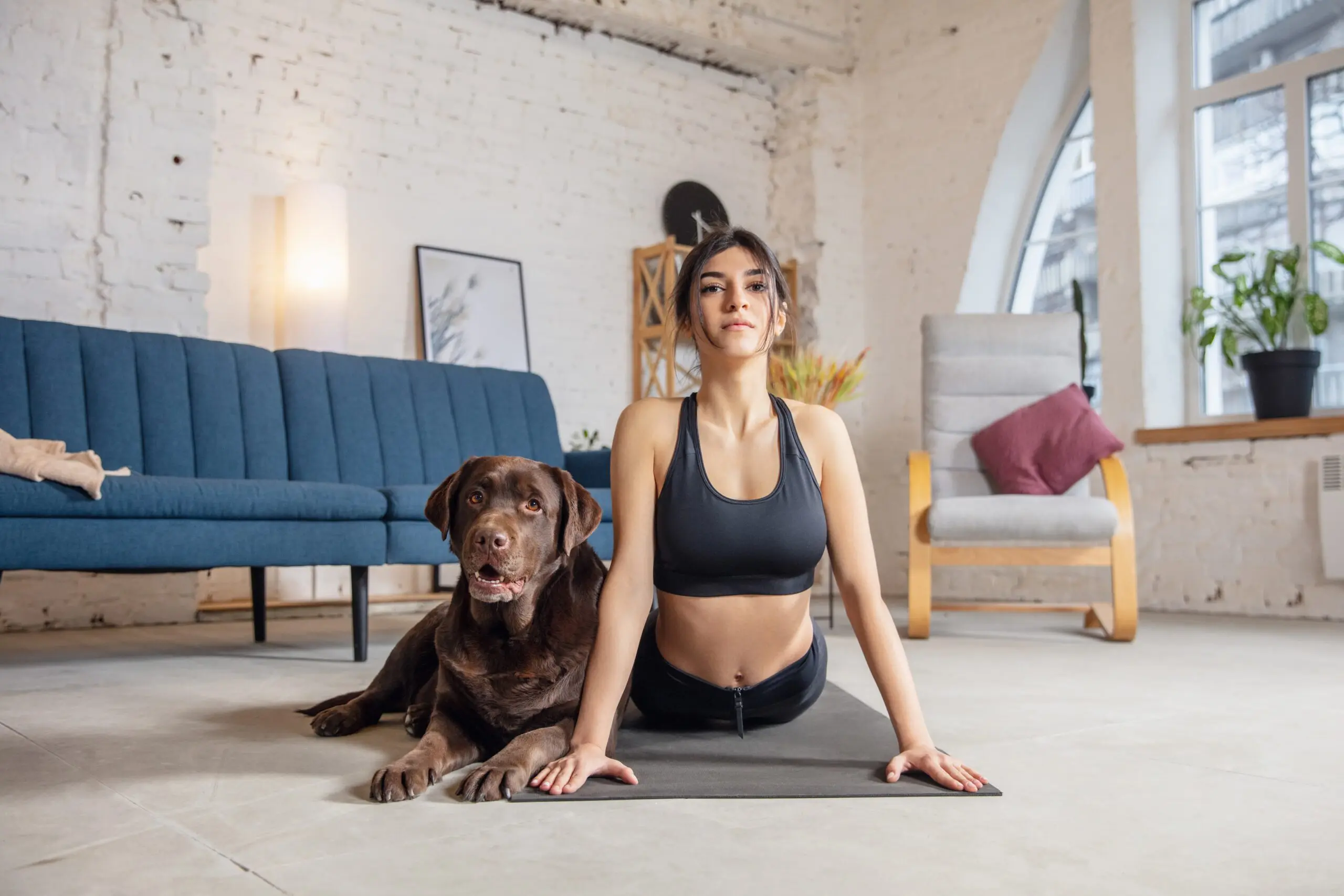 The At Home Workout You Can Do With Your Dog