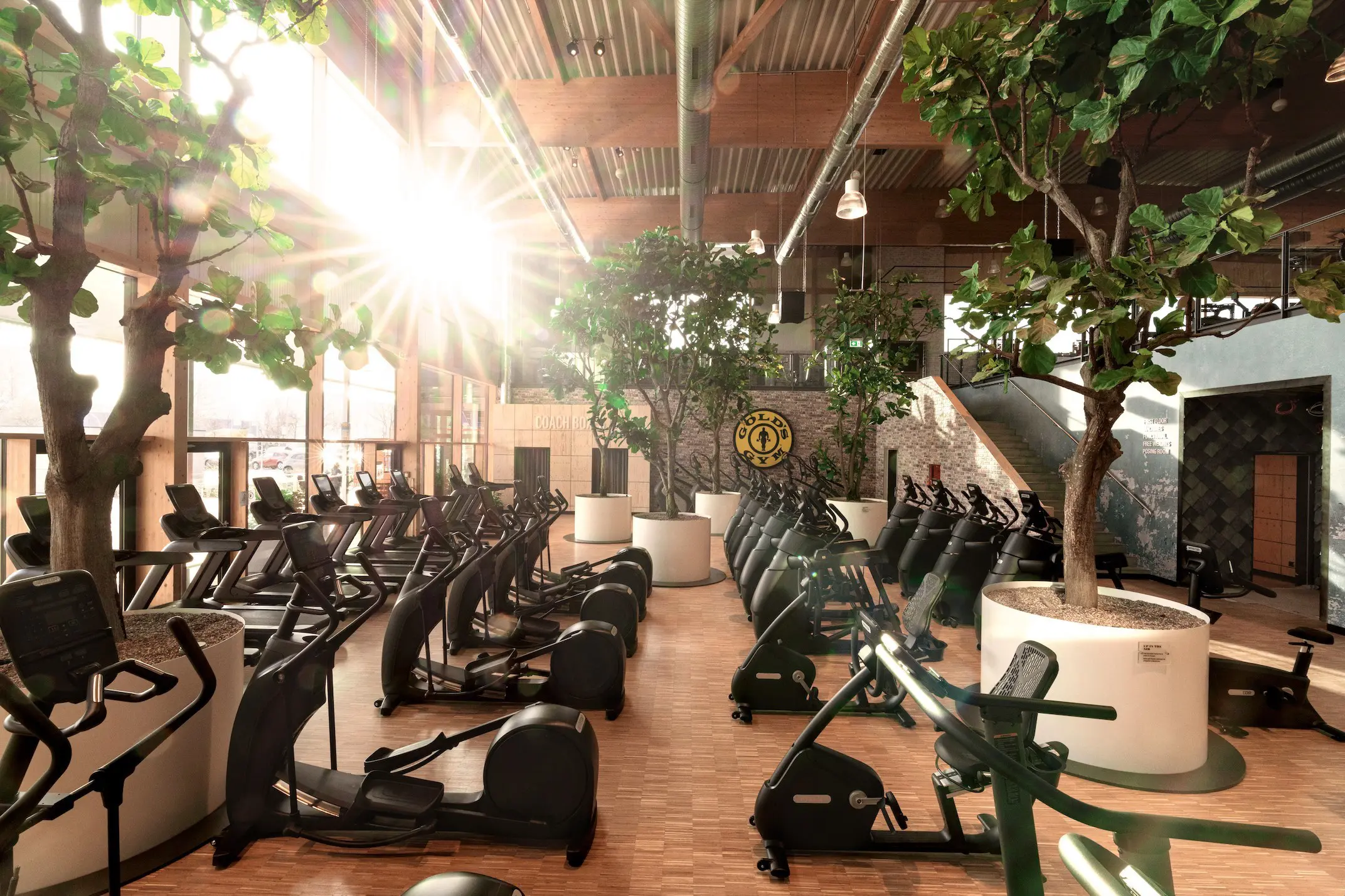 Golds gym berlin flagship campus