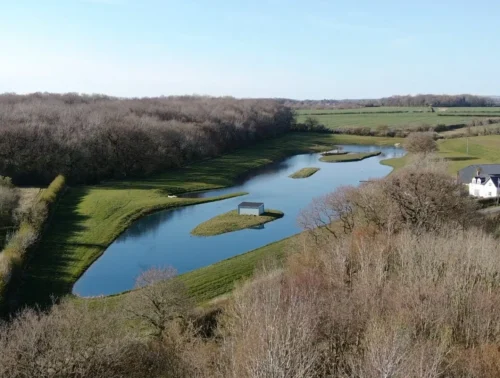 Ocean Walker Academy