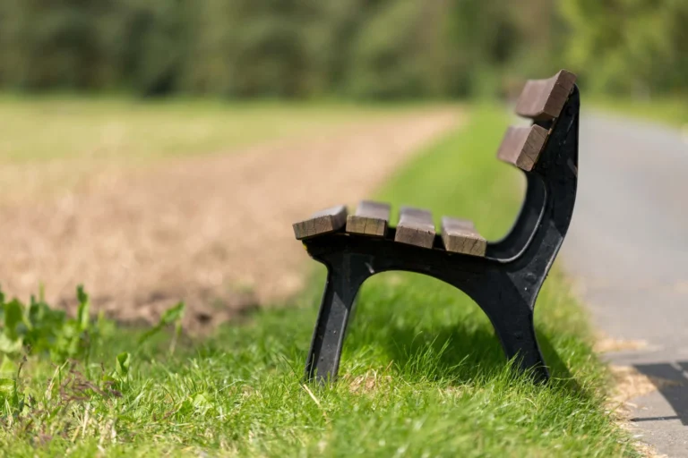 lonely looking bench scaled
