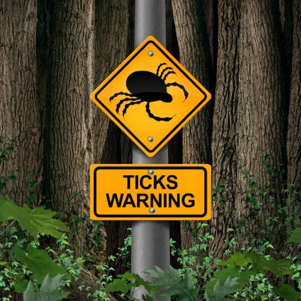 ticks warning sign in forest scaled