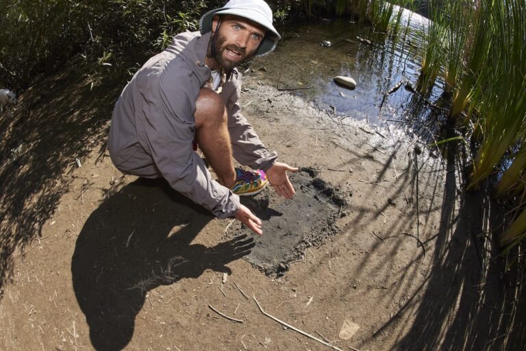 Sean Wotherspoon adidas collection 8