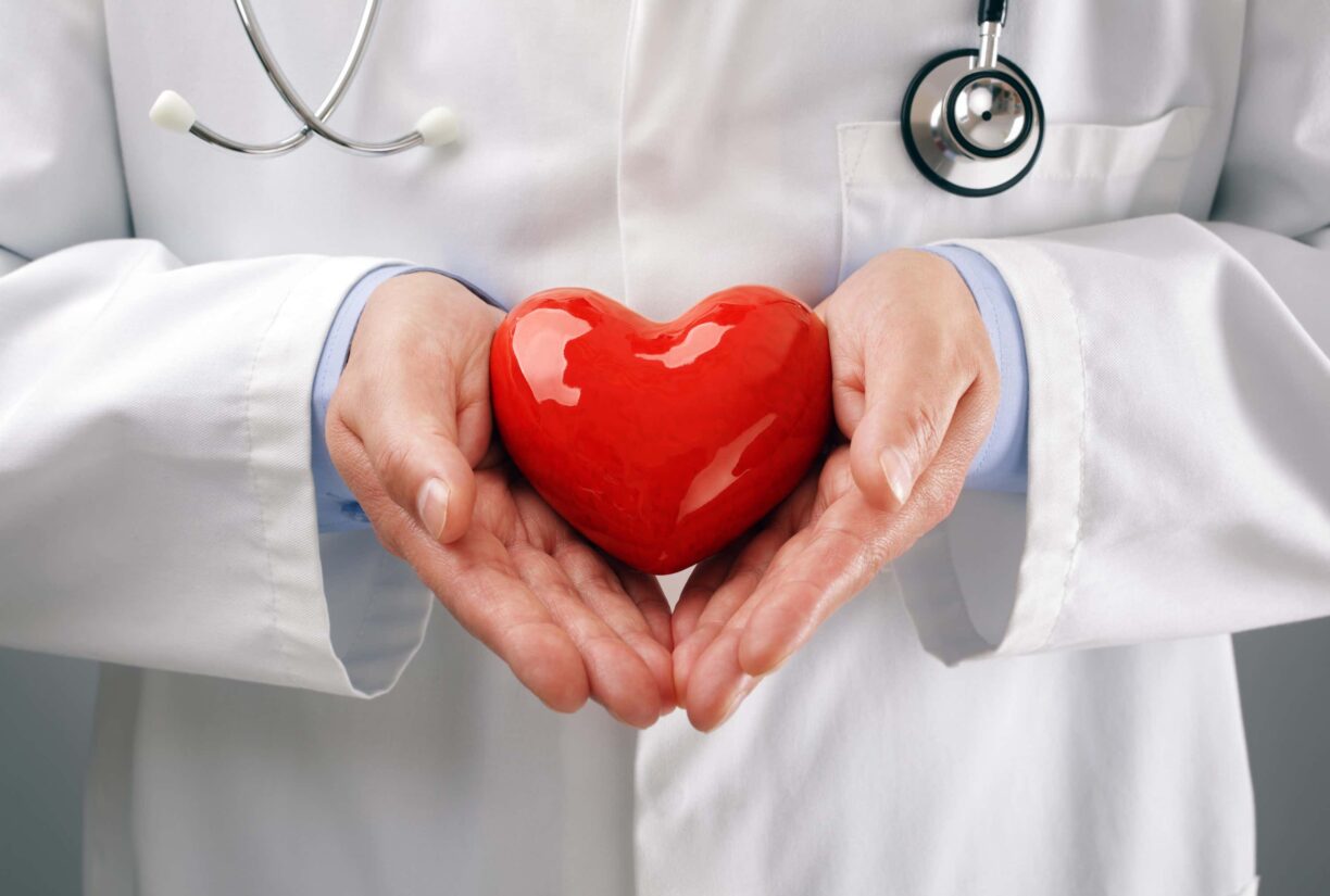 dr holds fake heart in hands