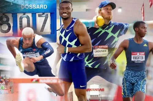 Zango Crouser Zhoya and Knighton