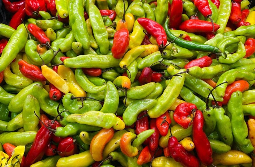 colourful chillies scaled