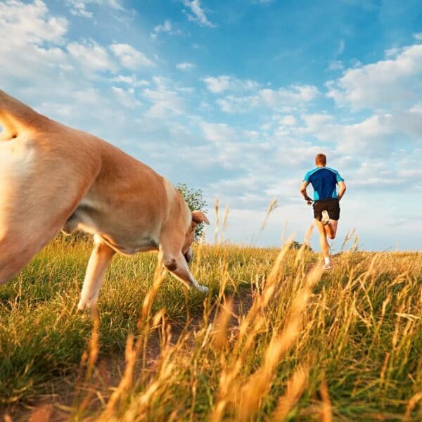 man and dog run through field