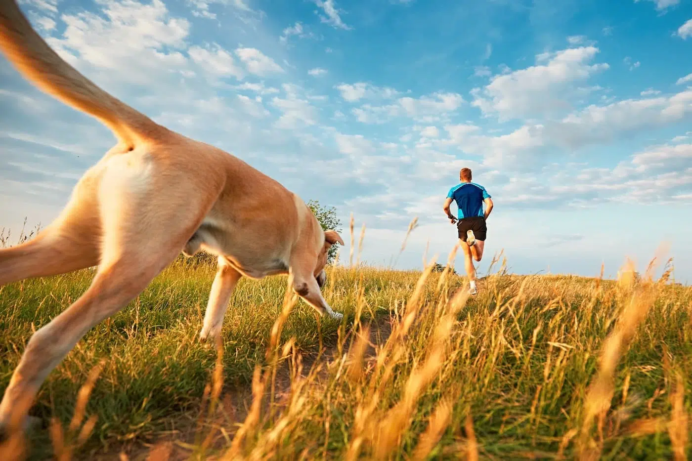 Man and dog run through field