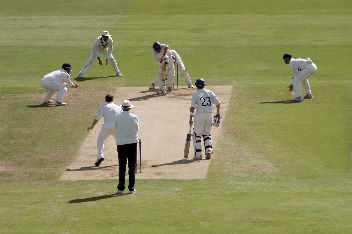 Cricket fielders