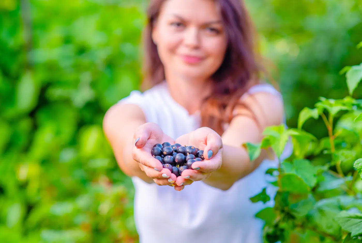 Farmer girl with a handful of blackcurrant berries