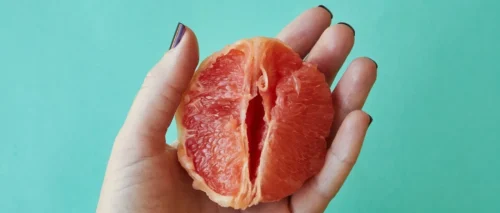 fruit that looks like a vagina