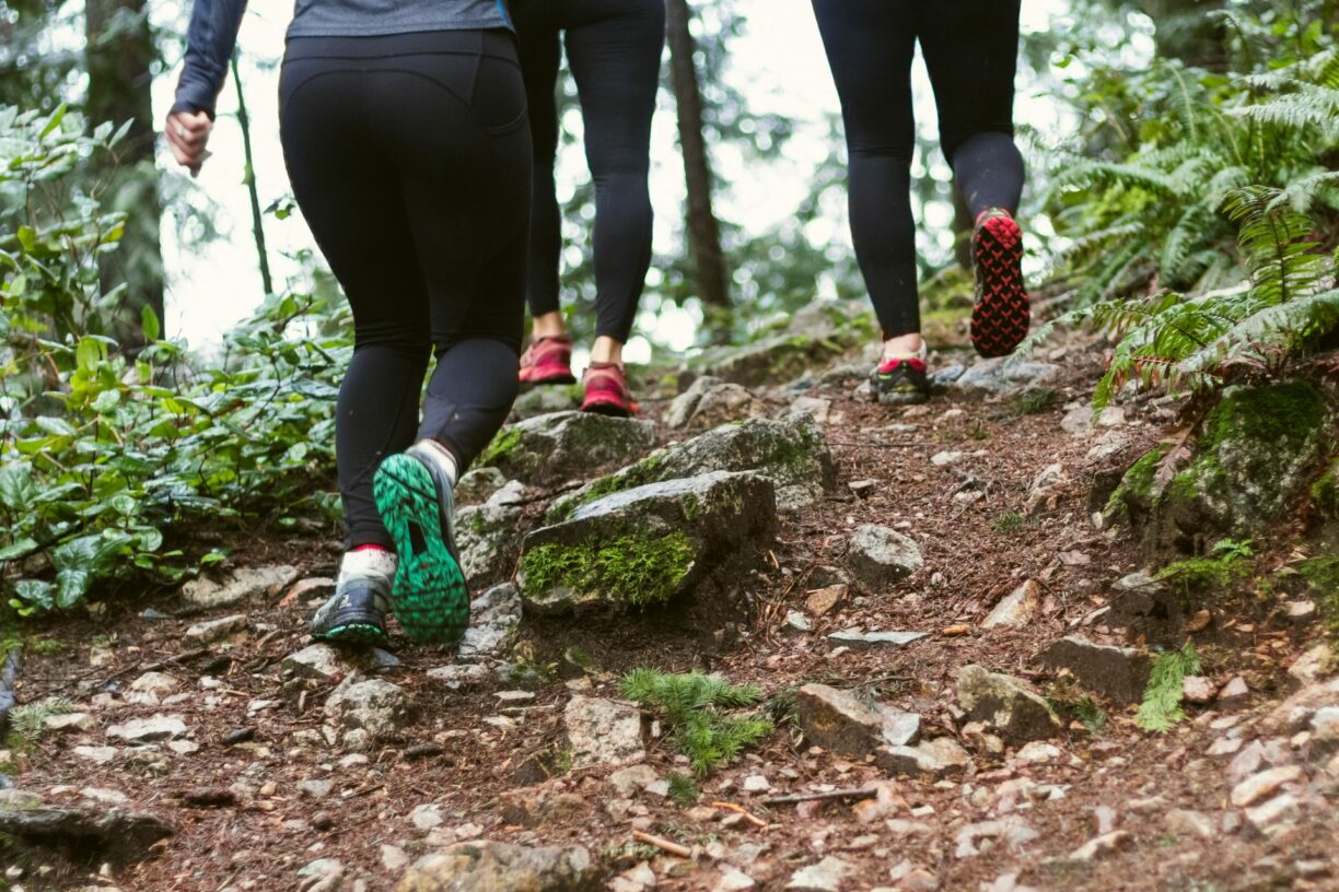 hikers walk up foresty hill