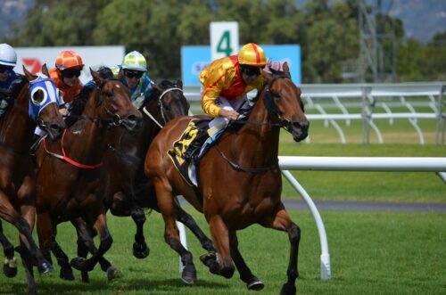 horse race jockeys