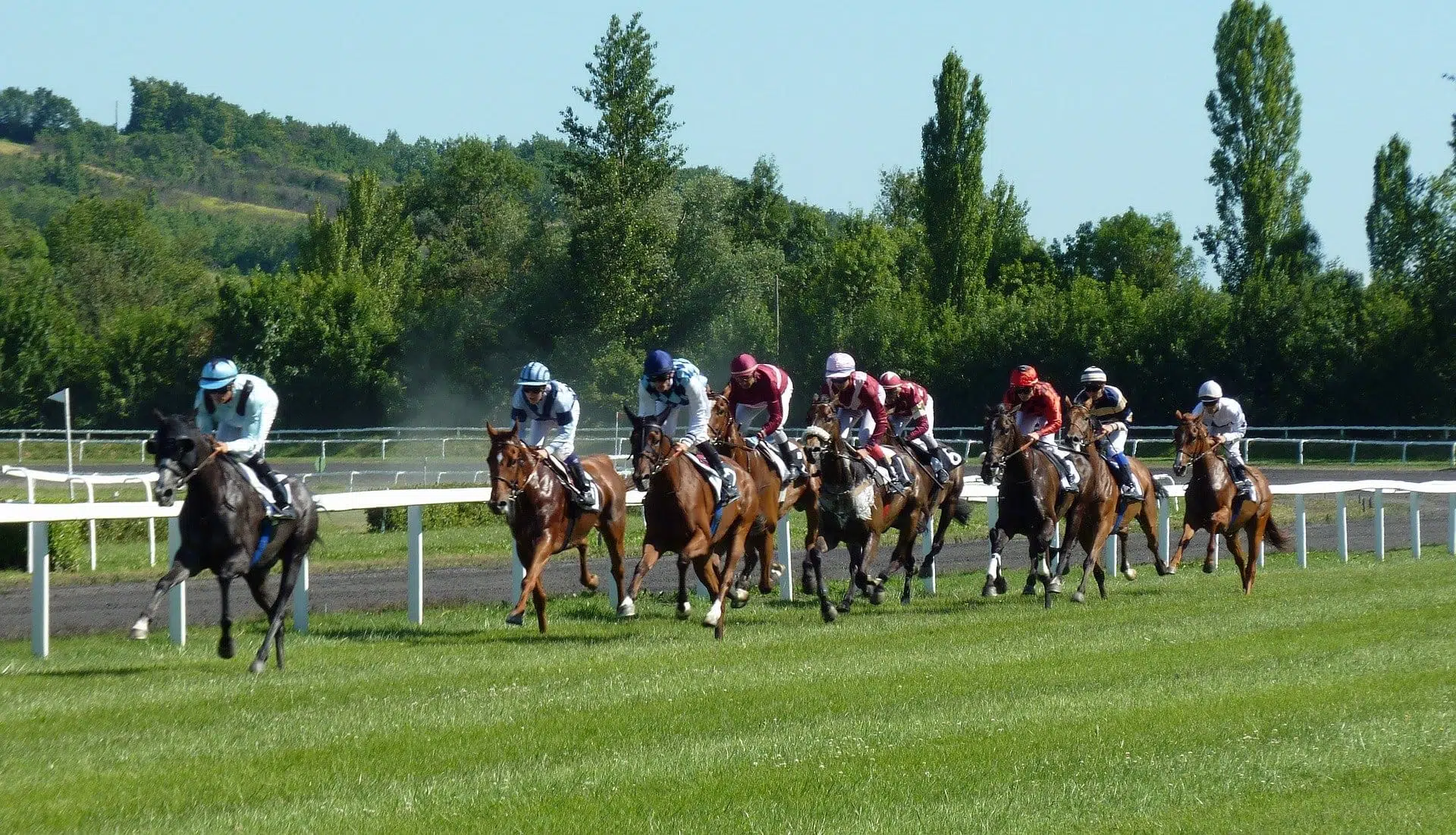 Jockeys on their horses race to the finish line