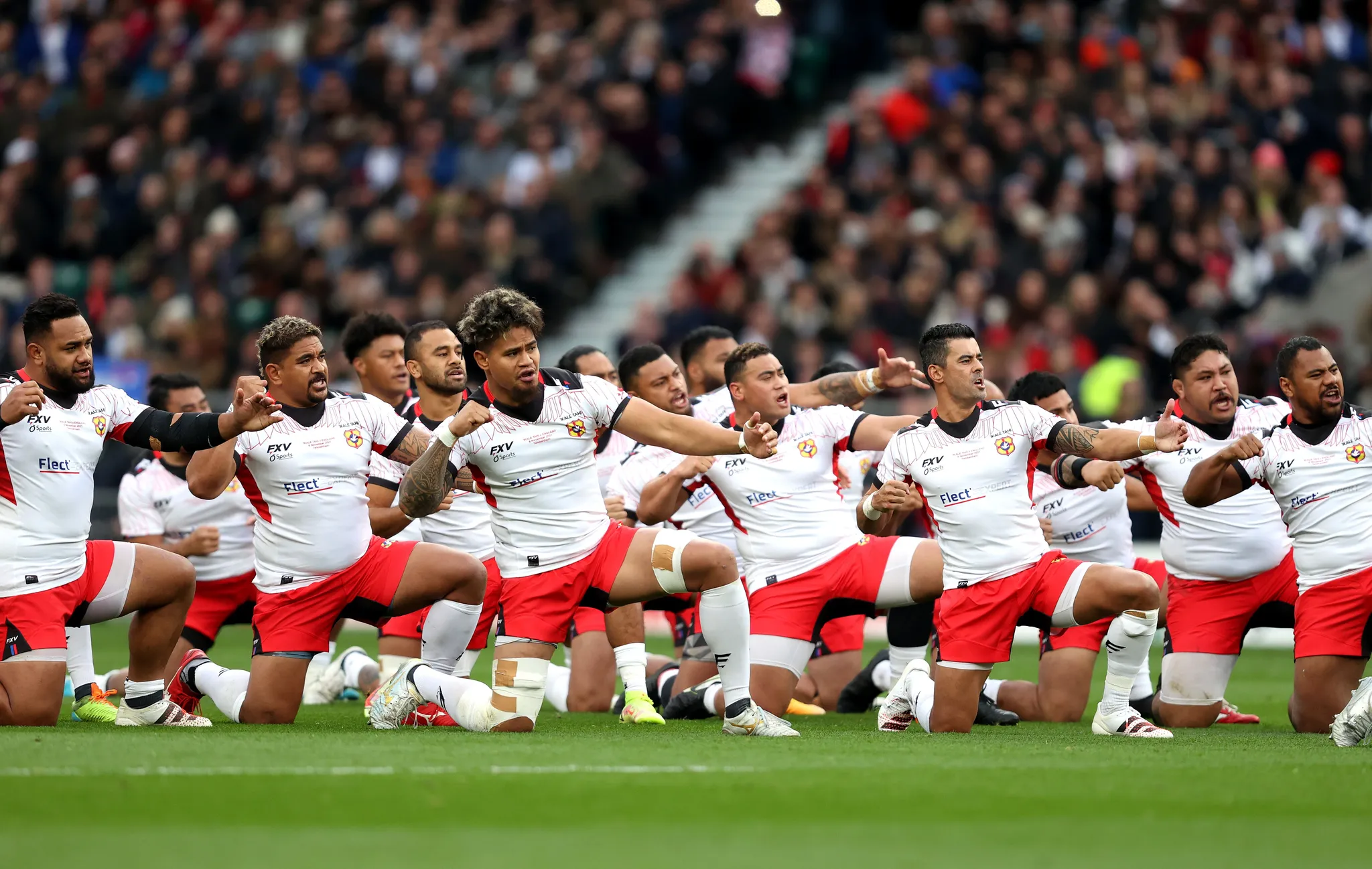 Rugby Unites To Support Tonga