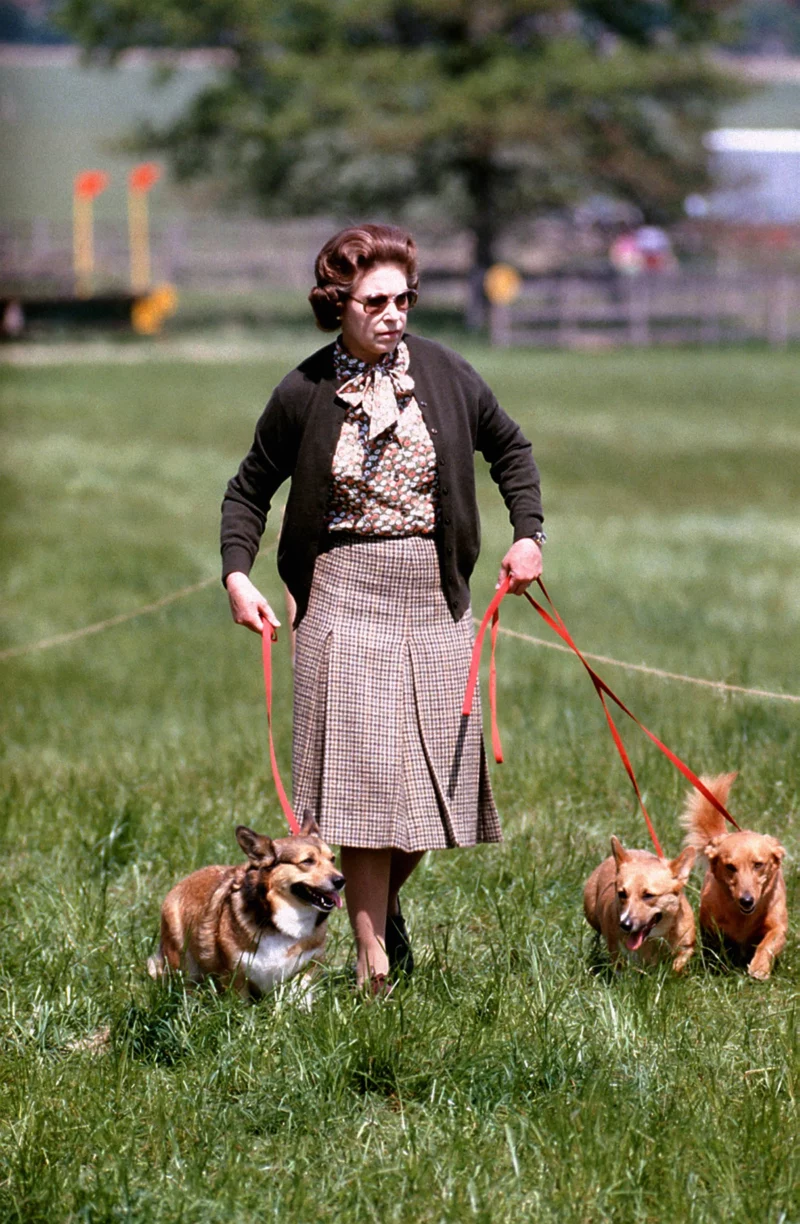 The queen with her corgis
