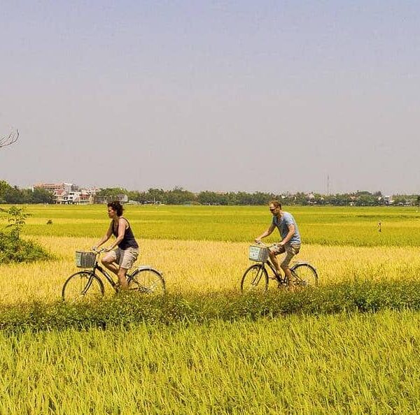 cyclists ride through fields