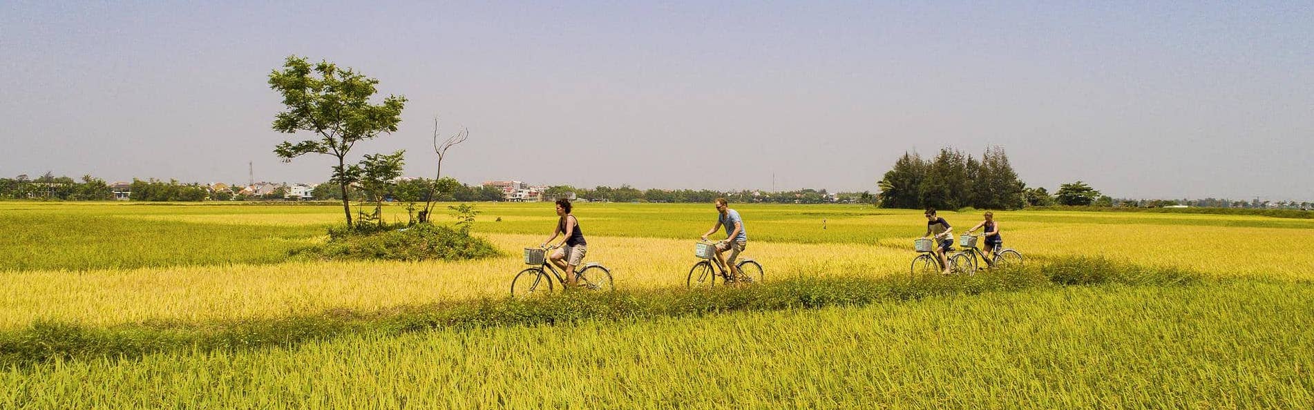 Cyclists ride through fields