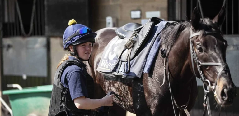 young horse rider with horse