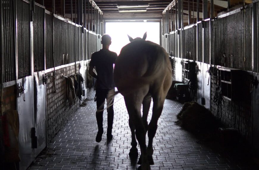 Young jockey is walking with a horse out of a stable