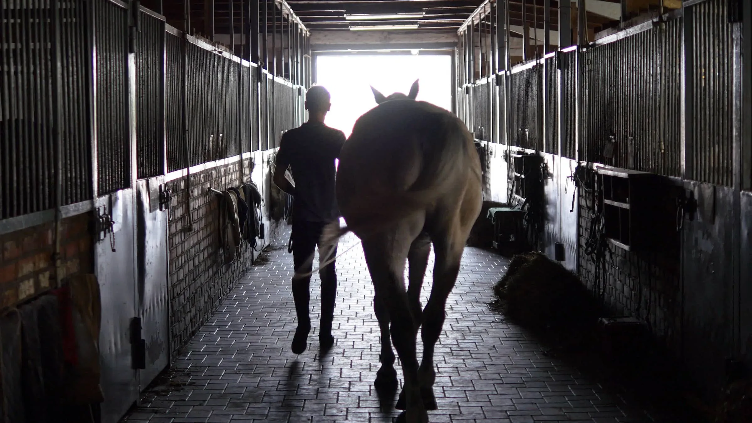 Young jockey is walking with a horse out of a stable