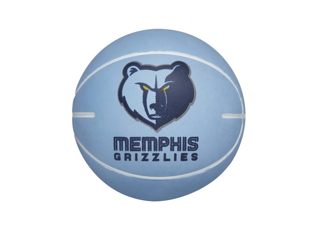 Memphis grizzlies super mini ball