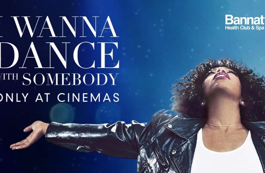 i wanna dance with somebody poster