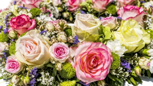 rose bouquet
