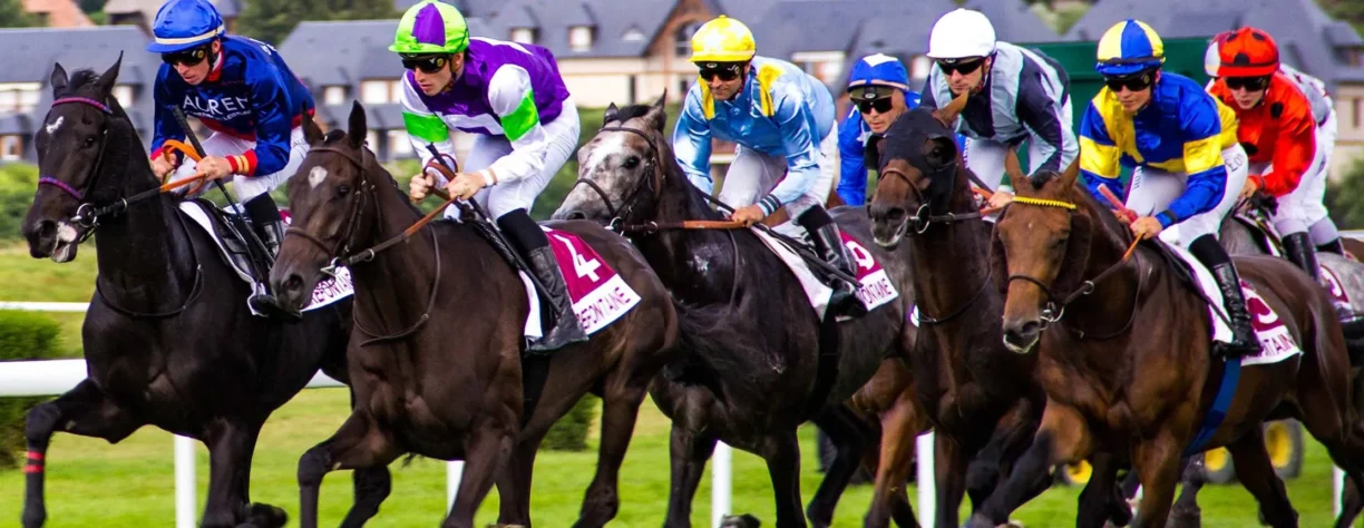 jockeys racing horses in a race