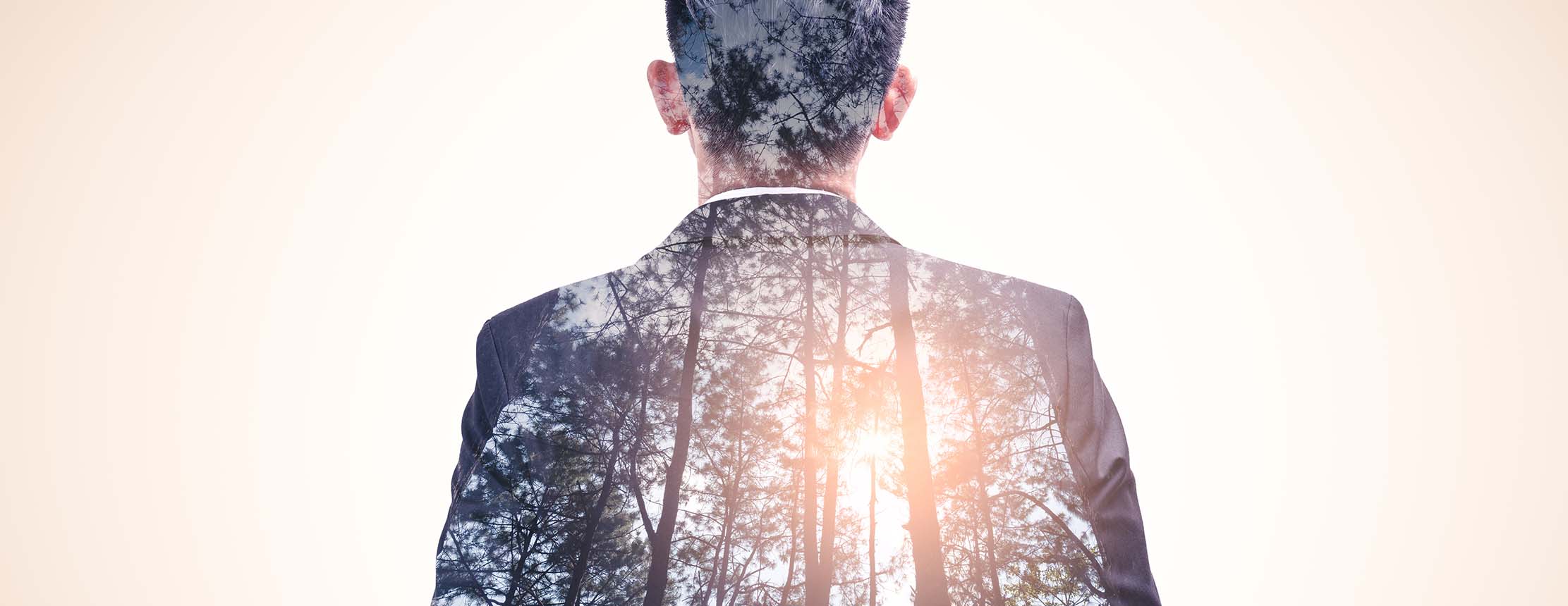 Double exposure image of the businessman standing during sunrise overlay with forest image